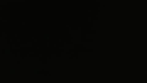 bossram160 online show from February 5, 2025, 10:08 am