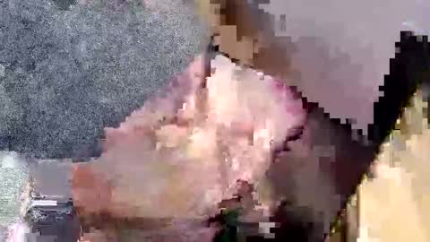 bossram160 online show from September 27, 2025, 7:52 pm