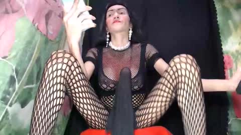 Snapshot of boucinghugehardcock chatting on October 2, 2025, 6:31 am A M A N D A MONSTERCOCK online show from October 2, 2025, 6:31 am