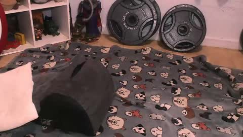 Pumpkin Butt online show from April 10, 2026, 6:29 am