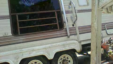 bpdbrittany online show from February 9, 2025, 5:33 pm