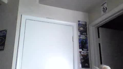 i am a naughty jedi knight online show from June 15, 2026, 2:08 pm