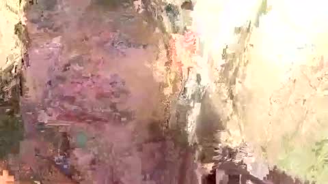 Brandon online show from January 14, 2025, 11:53 am