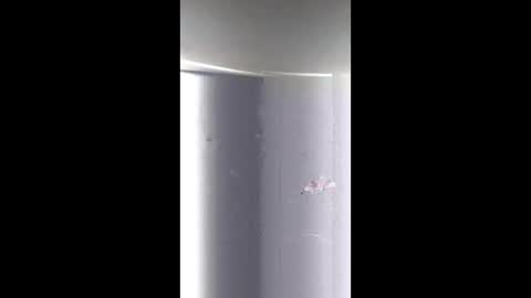 BeautifulDisasterxxx online show from March 23, 2026, 3:32 am