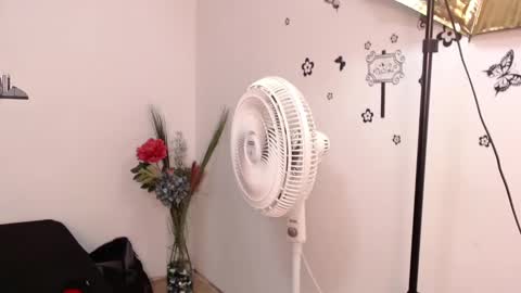 Snapshot of brenda_maz chatting on January 29, 2025, 3:15 pm Brenda online show from January 29, 2025, 3:15 pm