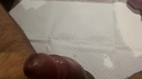 brenno95 online show from February 21, 2026, 11:11 am