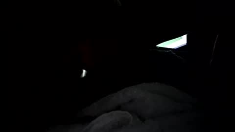 brentjames2690 online show from April 11, 2026, 7:29 pm