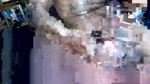 briandaplummer online show from February 7, 2026, 9:40 pm