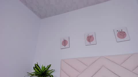   online show from December 23, 2024, 2:07 pm