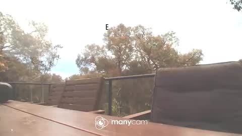 Fun Monster online show from October 16, 2025, 2:01 am