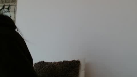 brigittebia777 online show from October 24, 2025, 10:11 am