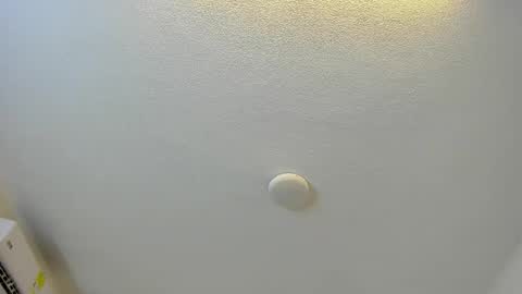 Snapshot of brittany069 chatting on March 1, 2026, 8:00 pm Brittany online show from March 1, 2026, 8:00 pm