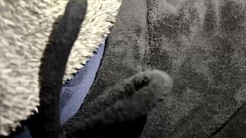 just a broken boy online show from January 12, 2026, 7:08 pm