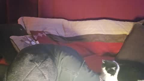 Snapshot of brownboyt chatting on December 19, 2025, 5:58 am brownboyt online show from December 19, 2025, 5:58 am