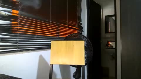 Bruce online show from February 5, 2025, 1:54 pm