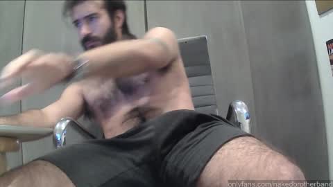 brunobaibe online show from November 15, 2025, 12:41 am