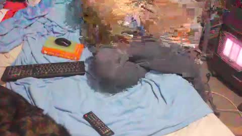 Snapshot of bufu21 chatting on February 2, 2025, 9:56 pm bufu21 online show from February 2, 2025, 9:56 pm