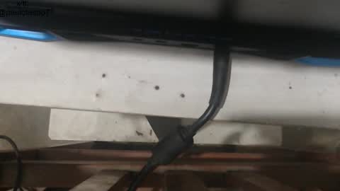 Snapshot of buldgeinboxer chatting on January 18, 2026, 5:33 am buldgeinboxer online show from January 18, 2026, 5:33 am