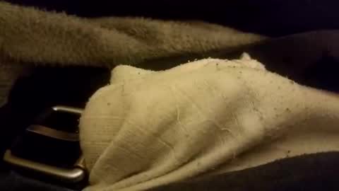 ejaculation for 250 online show from February 7, 2026, 7:01 am