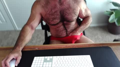 Snapshot of bullbud chatting on May 11, 2026, 2:23 pm Wrestling Dads.. hit me up. online show from May 11, 2026, 2:23 pm