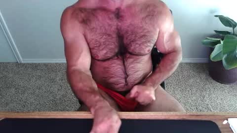 Snapshot of bullbud chatting on June 8, 2026, 3:12 pm Wrestling Dads.. hit me up. online show from June 8, 2026, 3:12 pm