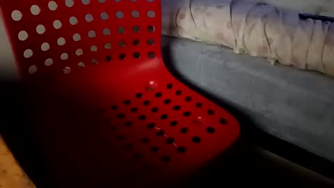 Snapshot of bullspain27266272 chatting on January 26, 2025, 4:41 am bullspain27266272 online show from January 26, 2025, 4:41 am