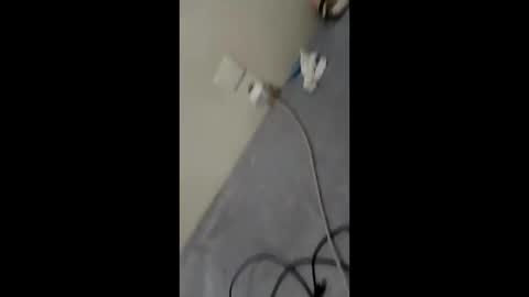 Snapshot of bullspain27266272 chatting on January 29, 2025, 3:01 am bullspain27266272 online show from January 29, 2025, 3:01 am