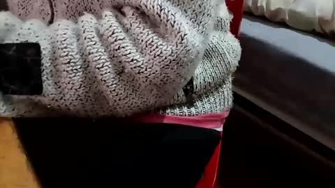 Snapshot of bullspain27266272 chatting on February 5, 2025, 10:22 pm bullspain27266272 online show from February 5, 2025, 10:22 pm