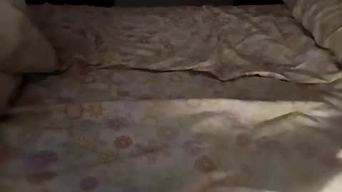 Snapshot of bullspain27266272 chatting on March 3, 2025, 4:47 am bullspain27266272 online show from March 3, 2025, 4:47 am