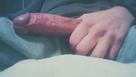 Dutch cock online show from December 27, 2024, 8:24 am