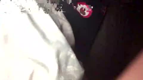 bungle online show from September 14, 2025, 2:44 am