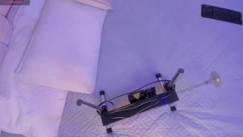 bunny_blush1 online show from March 30, 2026, 7:04 pm