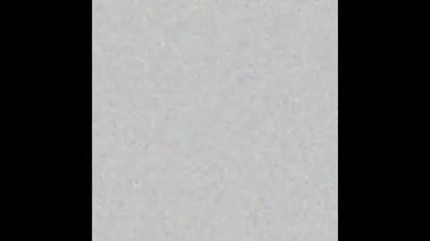 Snapshot of bunnyerotic_01 chatting on February 24, 2026, 3:15 am BUNNYEROTIC 01 online show from February 24, 2026, 3:15 am