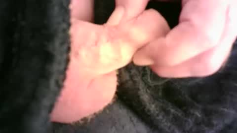 Hamish online show from November 23, 2025, 12:32 am