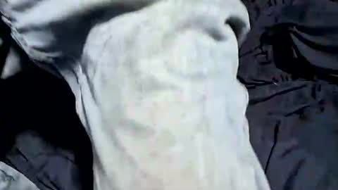 Snapshot of buster18hymen chatting on October 21, 2025, 7:36 pm Buster18Hymen online show from October 21, 2025, 7:36 pm