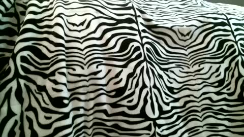 Snapshot of bustinfree chatting on February 5, 2025, 3:31 pm bustinfree online show from February 5, 2025, 3:31 pm