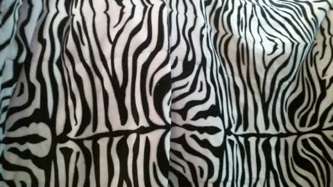 Snapshot of bustinfree chatting on February 28, 2025, 3:37 pm bustinfree online show from February 28, 2025, 3:37 pm