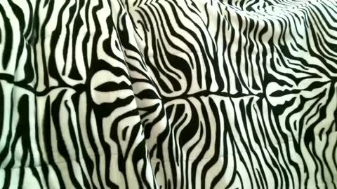 Snapshot of bustinfree chatting on September 15, 2025, 3:34 pm bustinfree online show from September 15, 2025, 3:34 pm