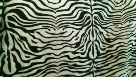 bustinfree online show from January 12, 2026, 2:55 pm