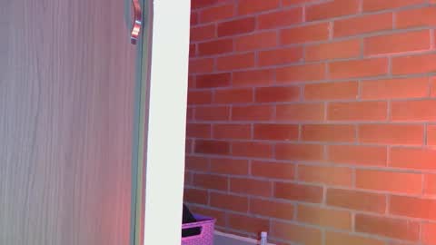 Mary  online show from February 15, 2025, 4:03 am