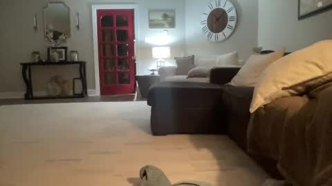 bwc2465 online show from February 15, 2025, 4:03 am