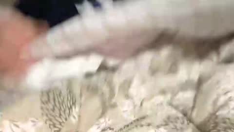 Snapshot of calciatore94 chatting on December 9, 2024, 8:54 pm Marco online show from December 9, 2024, 8:54 pm