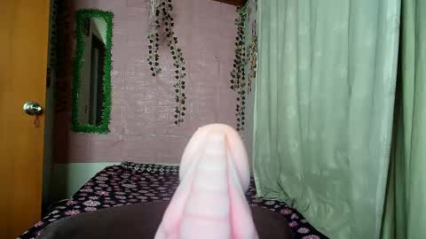 paula online show from April 12, 2026, 7:57 am