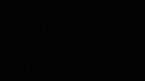 Charly online show from March 17, 2026, 11:57 am