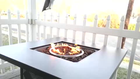 Chillaxin lets talk  online show from December 25, 2024, 2:23 pm