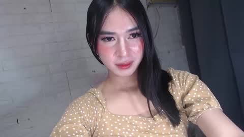 Snapshot of camela_star chatting on December 30, 2024, 4:31 am camela_star online show from December 30, 2024, 4:31 am