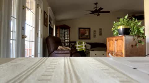 Snapshot of camperjay chatting on January 30, 2025, 9:25 pm james online show from January 30, 2025, 9:25 pm