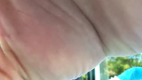 camronleehamilton online show from November 12, 2025, 9:03 pm