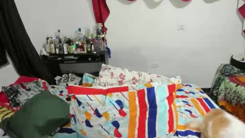 Snapshot of candlexx_ chatting on February 10, 2025, 3:35 am candlex online show from February 10, 2025, 3:35 am