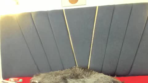 candy18_ho online show from February 11, 2026, 3:22 am